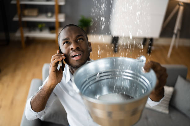 Best Professional water damage repair  in Ford City, CA