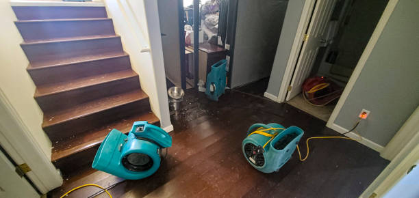Best Carpet water damage restoration  in Ford City, CA
