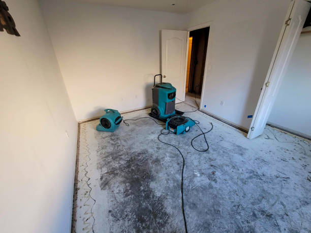 Best Water damage restoration specialists  in Ford City, CA