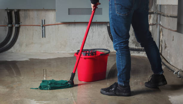 Best Professional water damage repair  in Ford City, CA