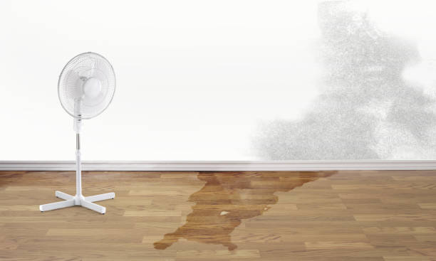 Best Water damage restoration near me  in Ford City, CA