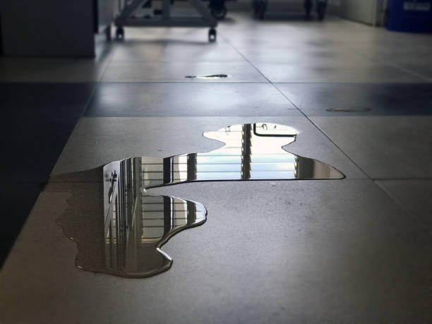 Best 24/7 water damage repair  in Ford City, CA