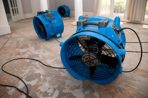 Best 24-hour water damage restoration  in Ford City, CA