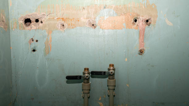 Ford City, CA Water damage restoration Pros