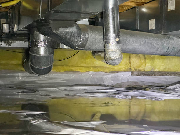 Best Ceiling water damage repair  in Ford City, CA