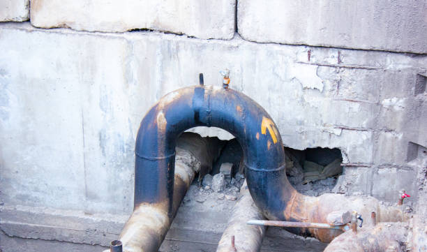 Best Water damage cleanup near me  in Ford City, CA