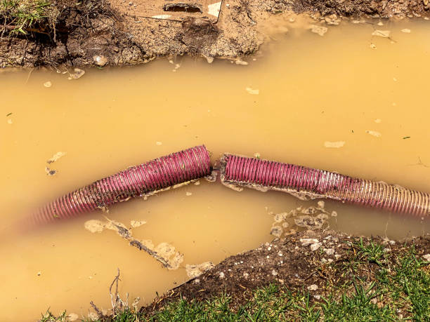 Best Water damage contractors near me  in Ford City, CA